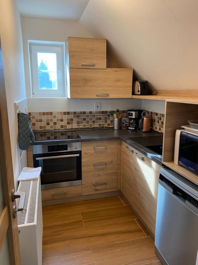 Apartmán 430 Destne v Orlickych horach Exterior foto